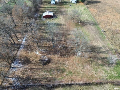 Tiny photo for 23392 N IL Hwy 37 Highway, Dix, IL 62830 (MLS # EB460695)