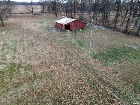 Tiny photo for 23392 N IL Hwy 37 Highway, Dix, IL 62830 (MLS # EB460695)