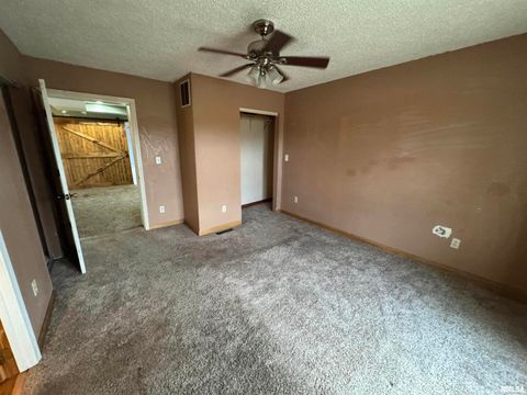 Tiny photo for 23392 N IL Hwy 37 Highway, Dix, IL 62830 (MLS # EB460695)