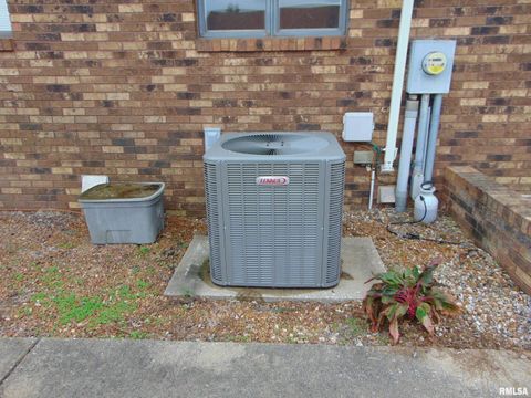 Tiny photo for 4077 State Route 154 Highway, Pinckneyville, IL 62274 (MLS # EB460013)