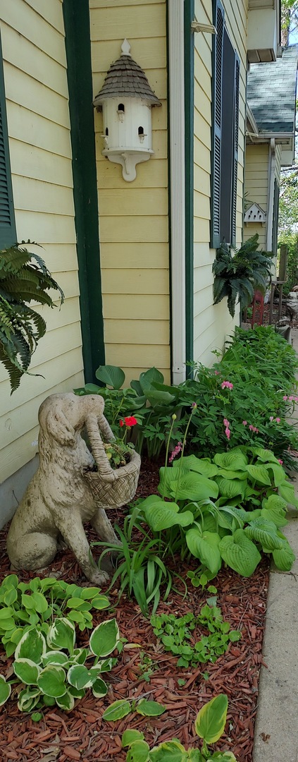 2S720 Nelson Lake Road