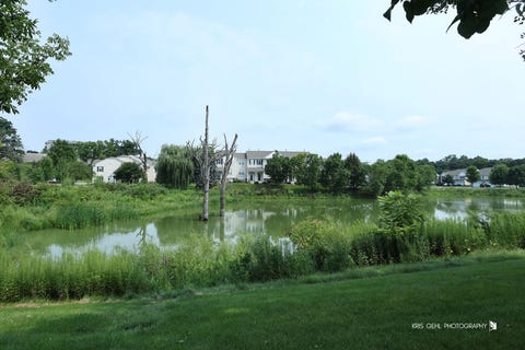 Tiny photo for 106 Terra Firma Lane, Volo, IL 60020 (MLS # 12722773)
