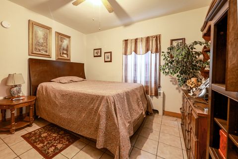 Tiny photo for 605 East Street, Mazon, IL 60444 (MLS # 12373065)