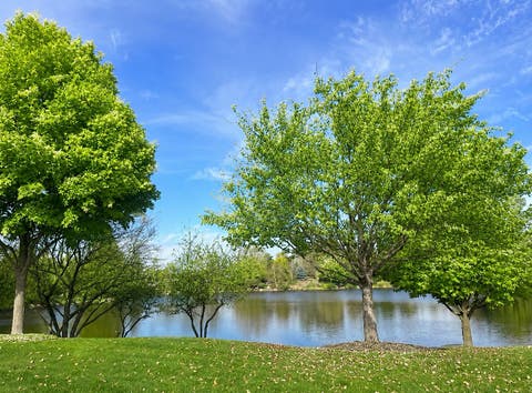 Tiny photo for 6816 Cobble Springs Lane, Wonder Lake, IL 60097 (MLS # 12725859)