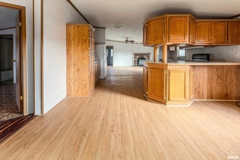 Tiny photo for 14809 Sulphur Springs Road, Creal Springs, IL 62922 (MLS # QC4269902)