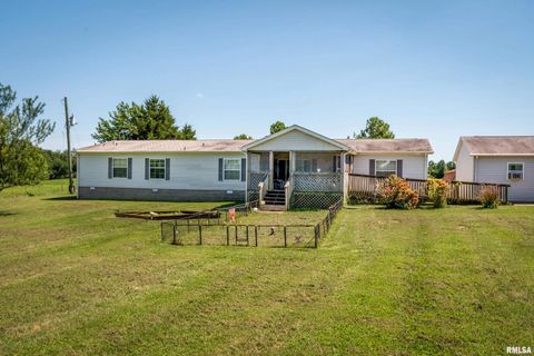 Tiny photo for 14809 Sulphur Springs Road, Creal Springs, IL 62922 (MLS # QC4269902)