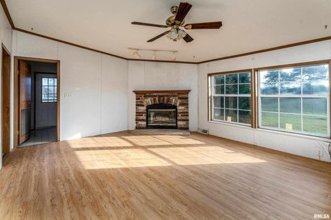 Tiny photo for 14809 Sulphur Springs Road, Creal Springs, IL 62922 (MLS # QC4269902)