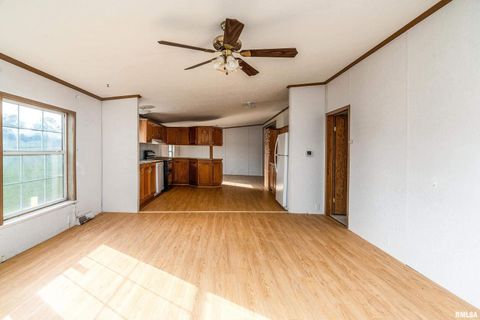 Tiny photo for 14809 Sulphur Springs Road, Creal Springs, IL 62922 (MLS # QC4269902)