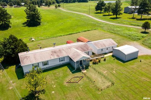 Tiny photo for 14809 Sulphur Springs Road, Creal Springs, IL 62922 (MLS # QC4269902)