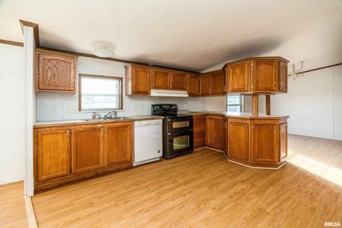 Tiny photo for 14809 Sulphur Springs Road, Creal Springs, IL 62922 (MLS # QC4269902)