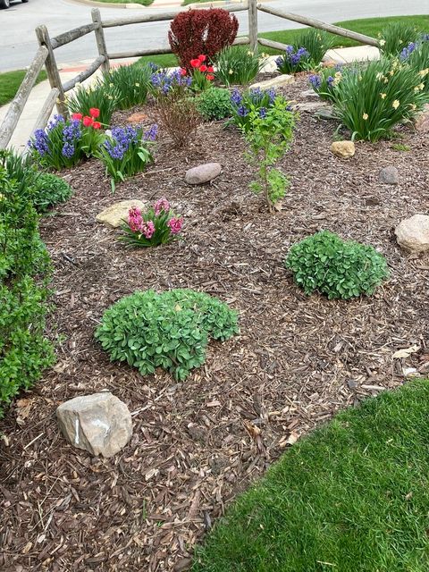 Tiny photo for Downers Grove, IL 60516 (MLS # 12534973)