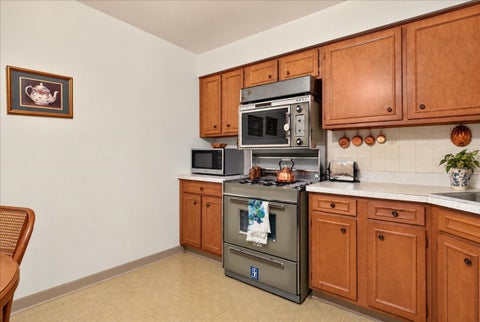 Tiny photo for 7314 Randolph Street #4E, Forest Park, IL 60130 (MLS # 12786899)