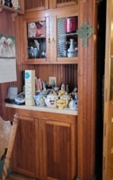 Tiny photo for 103 N Maple Street, Momence, IL 60954 (MLS # 12368078)