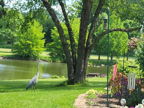 Tiny photo for 36 Crofton Court, Oswego, IL 60543 (MLS # 12743995)