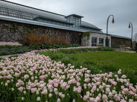 Tiny photo for 102 N Hamlin Boulevard #D1, Chicago, IL 60624 (MLS # 12575122)