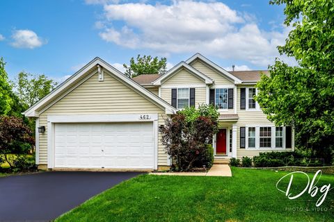 Photo of 462 Nuthatch Way, Lindenhurst, IL 60046 (MLS # 12401691)