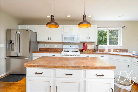 Tiny photo for 462 Nuthatch Way, Lindenhurst, IL 60046 (MLS # 12401691)
