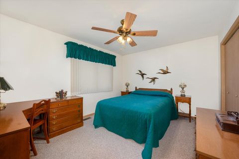 Tiny photo for 5103 W Park Lane, Monee, IL 60449 (MLS # 12579320)