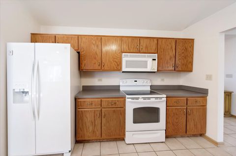 Tiny photo for 5103 W Park Lane, Monee, IL 60449 (MLS # 12579320)