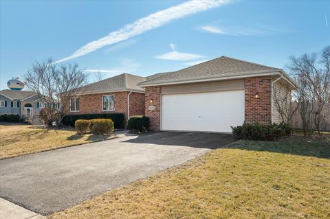 Tiny photo for 5103 W Park Lane, Monee, IL 60449 (MLS # 12579320)