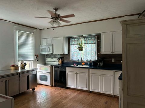 Tiny photo for 507 S Washington Street, Mcleansboro, IL 62859 (MLS # 12623382)