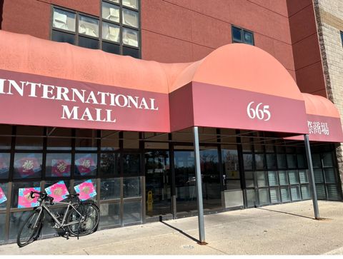 665 Pasquinelli Drive 208 Westmont IL 60559