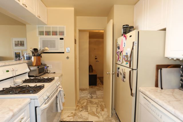 3950 N Lake Shore Drive 1012C