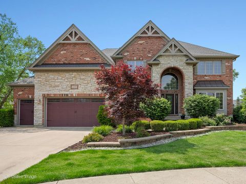 508 Gene Darfler Court Naperville IL 60565