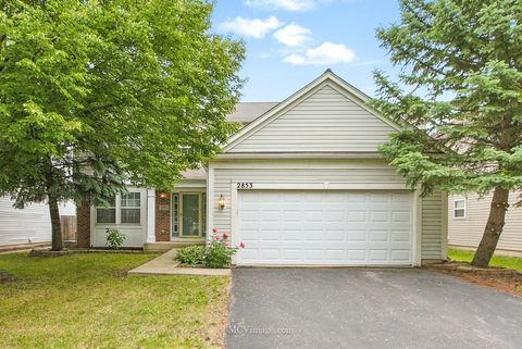2853 COASTAL Drive Aurora IL 60503