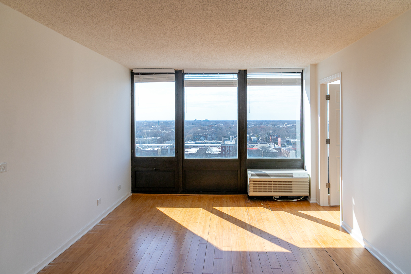 5320 N Sheridan Road 1310