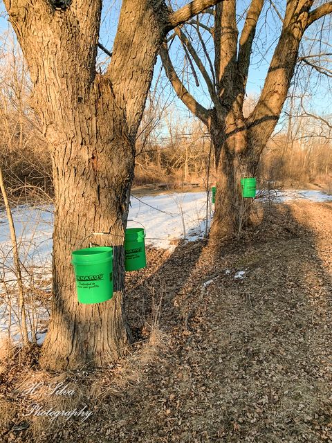 Tiny photo for 8106 Maple Street, Marengo, IL 60152 (MLS # 12430274)