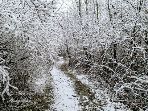 Tiny photo for 8106 Maple Street, Marengo, IL 60152 (MLS # 12430274)