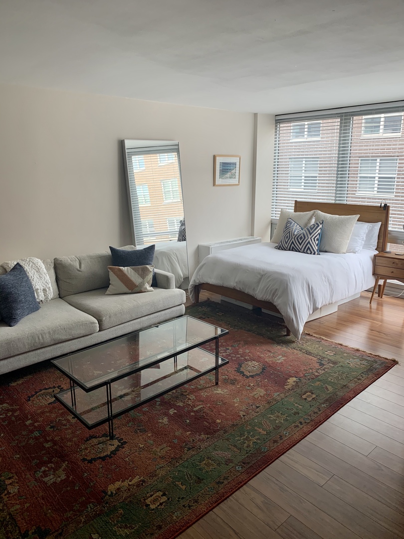 21 W Goethe Street 11E