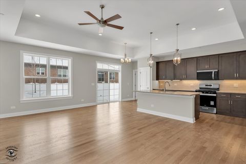 Tiny photo for 19209 Buncrana Circle, Tinley Park, IL 60487 (MLS # 12534887)