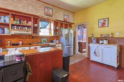 Tiny photo for 827 W RAYMOND Street, Harrisburg, IL 62946 (MLS # EB458701)