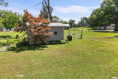 Tiny photo for 827 W RAYMOND Street, Harrisburg, IL 62946 (MLS # EB458701)