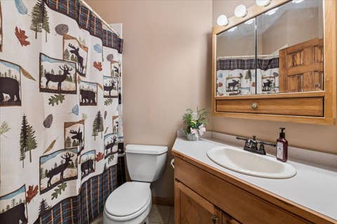 Tiny photo for 18854 S Palomino Court, Shorewood, IL 60404 (MLS # 12627626)