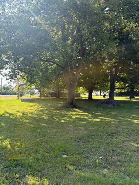 Tiny photo for 716 S Cockrum Street, Sesser, IL 62884 (MLS # 12724464)