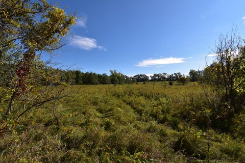 Tiny photo for 1607 Wheeler Road, Kirkland, IL 60146 (MLS # 12773114)