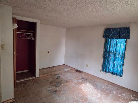 Tiny photo for 1324 N 9th St, Quincy, IL 62301 (MLS # 12472136)