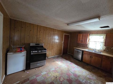 Tiny photo for 1324 N 9th St, Quincy, IL 62301 (MLS # 12472136)