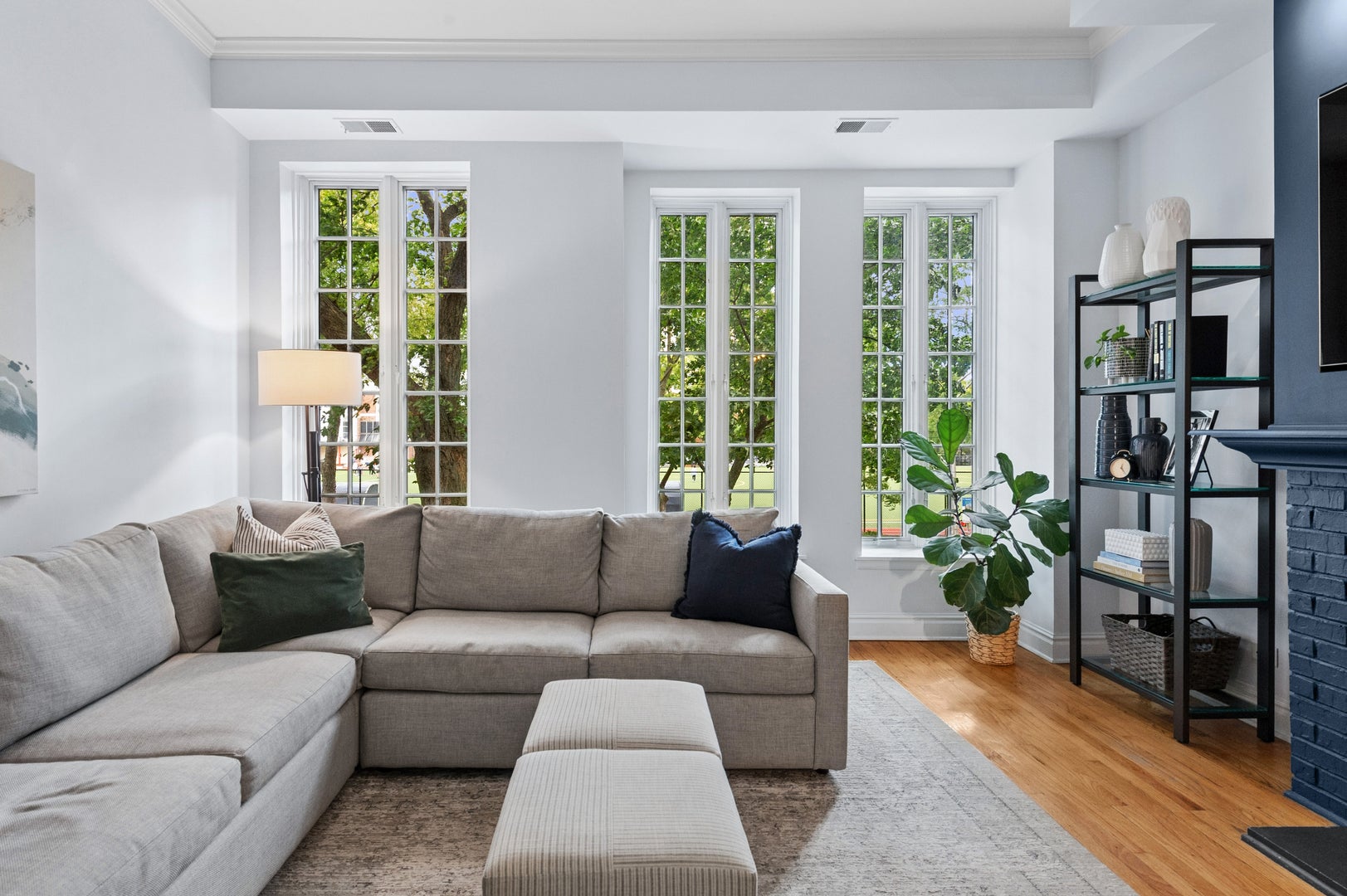 317 W Webster Avenue 1