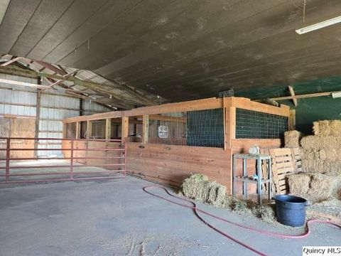 Tiny photo for 2796 N County Road 2500, La Harpe, IL 61450 (MLS # 12636433)