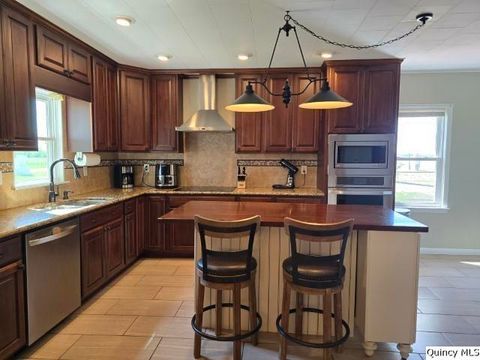 Tiny photo for 2796 N County Road 2500, La Harpe, IL 61450 (MLS # 12636433)