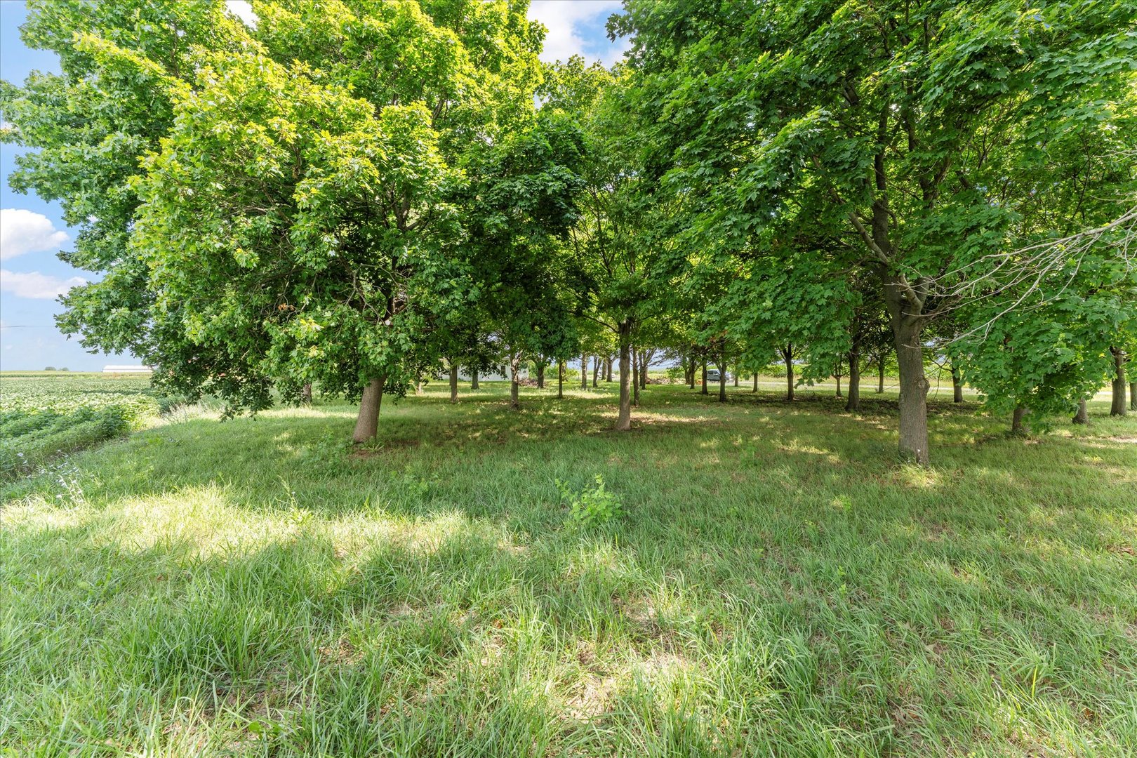 3035 County Road 1500 E