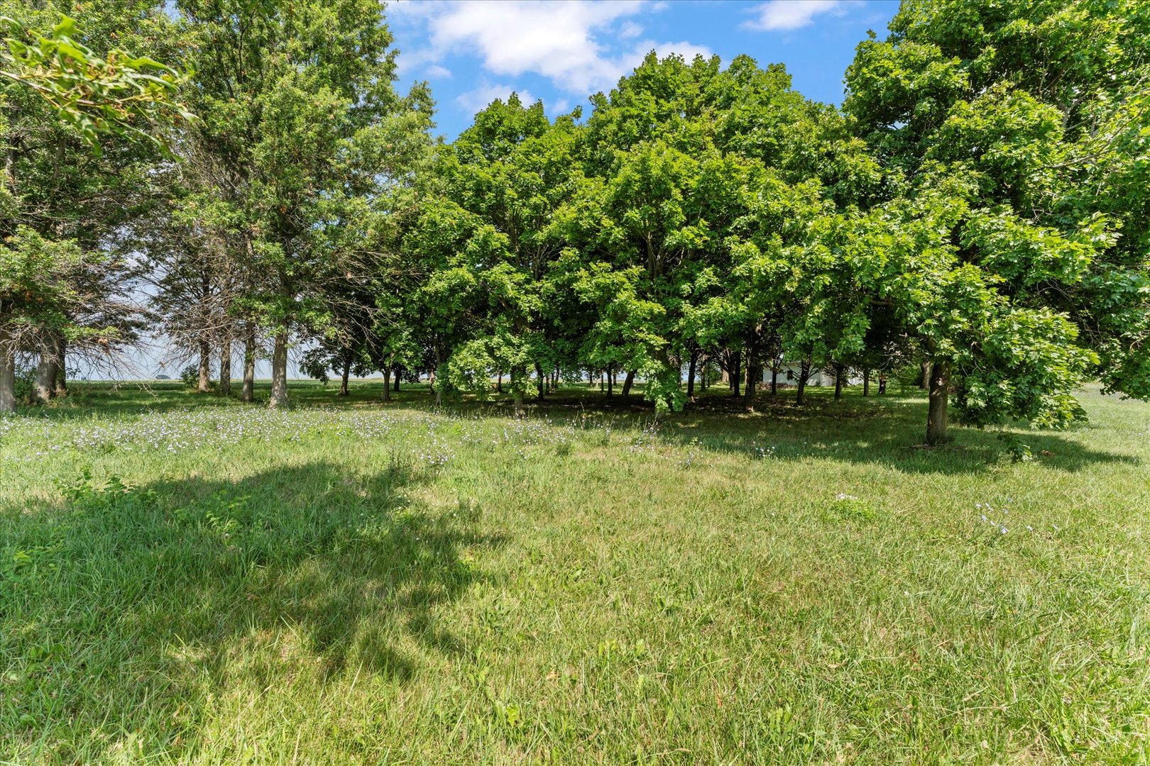 3035 County Road 1500 E