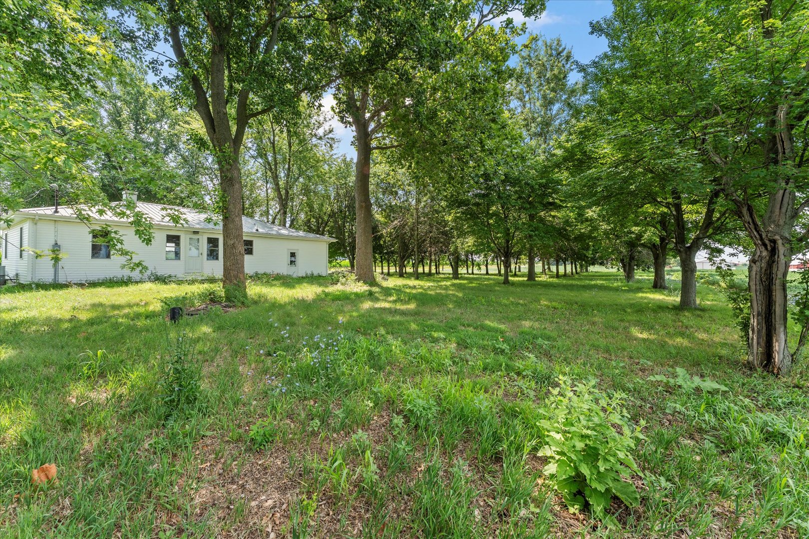 3035 County Road 1500 E