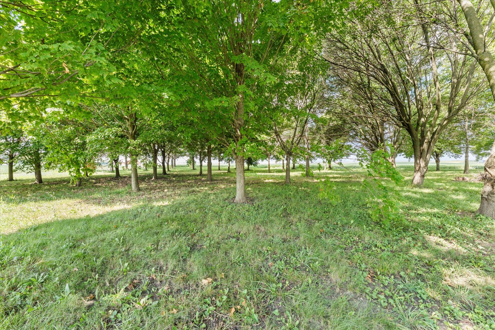 3035 County Road 1500 E