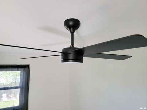 Tiny photo for 306 Bible Street, Flora, IL 62839 (MLS # EB460094)