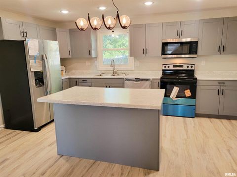 Tiny photo for 306 Bible Street, Flora, IL 62839 (MLS # EB460094)